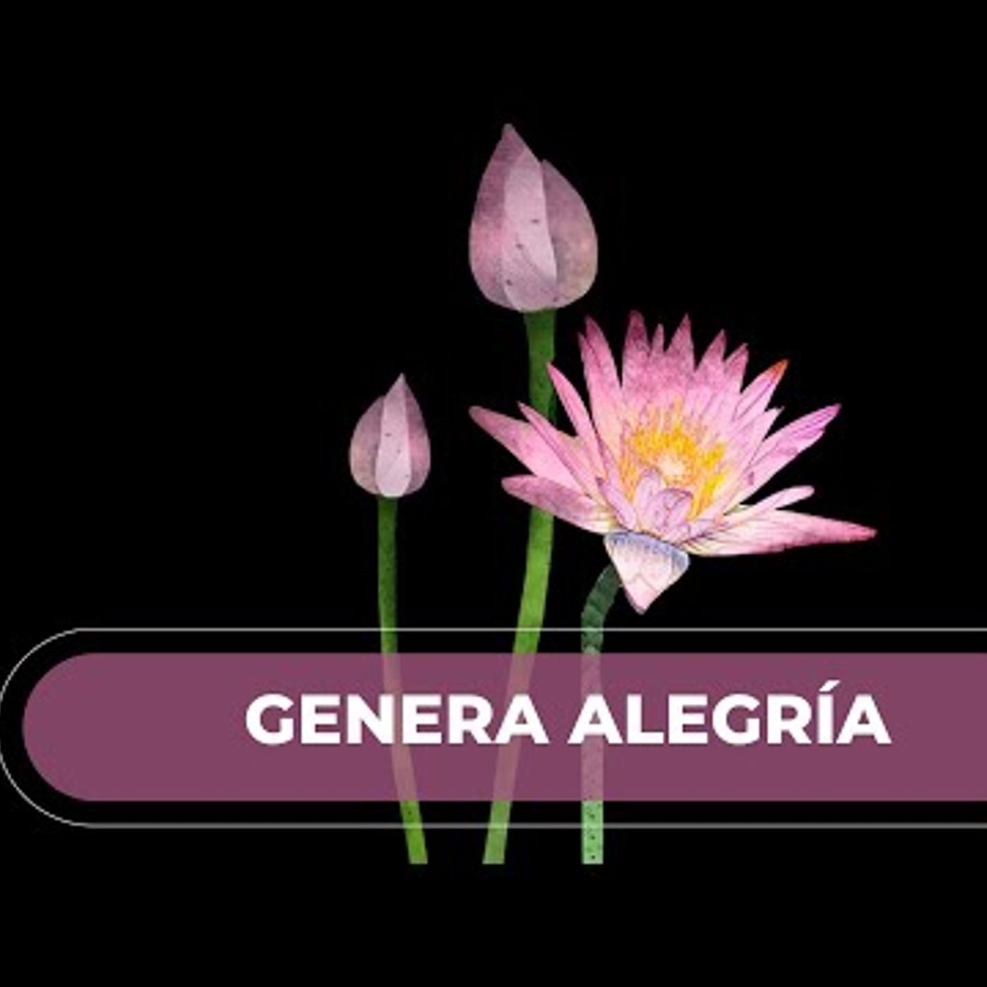 011. Meditación para Momentos Difíciles 🌸 Convierte la Tristeza, Ira, Frustración en Alegría y AM