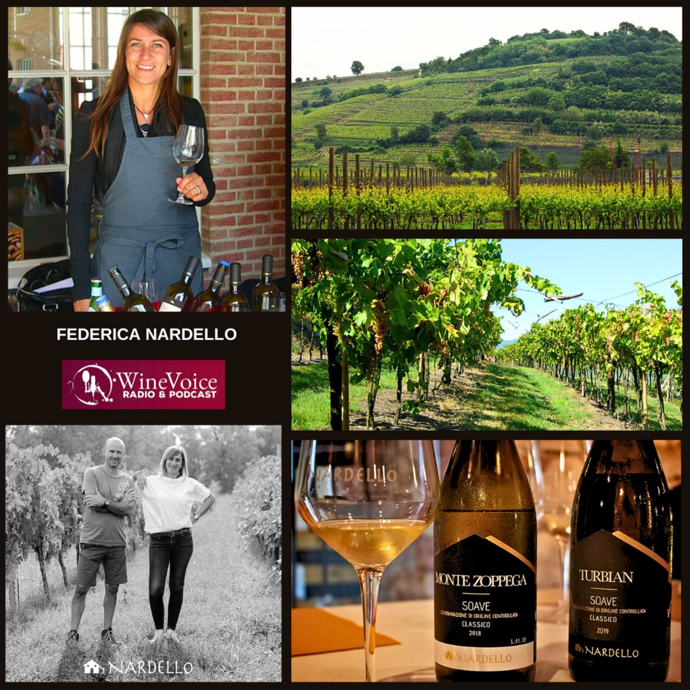 Le Terre del Vino: UWE 25 - FEDERICA NARDELLO (Soave) episode artwork