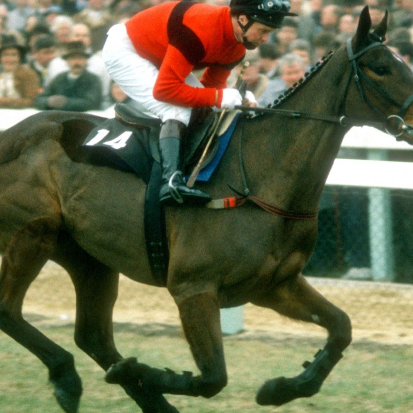 Waterford\'s Greatest Sporting Moments