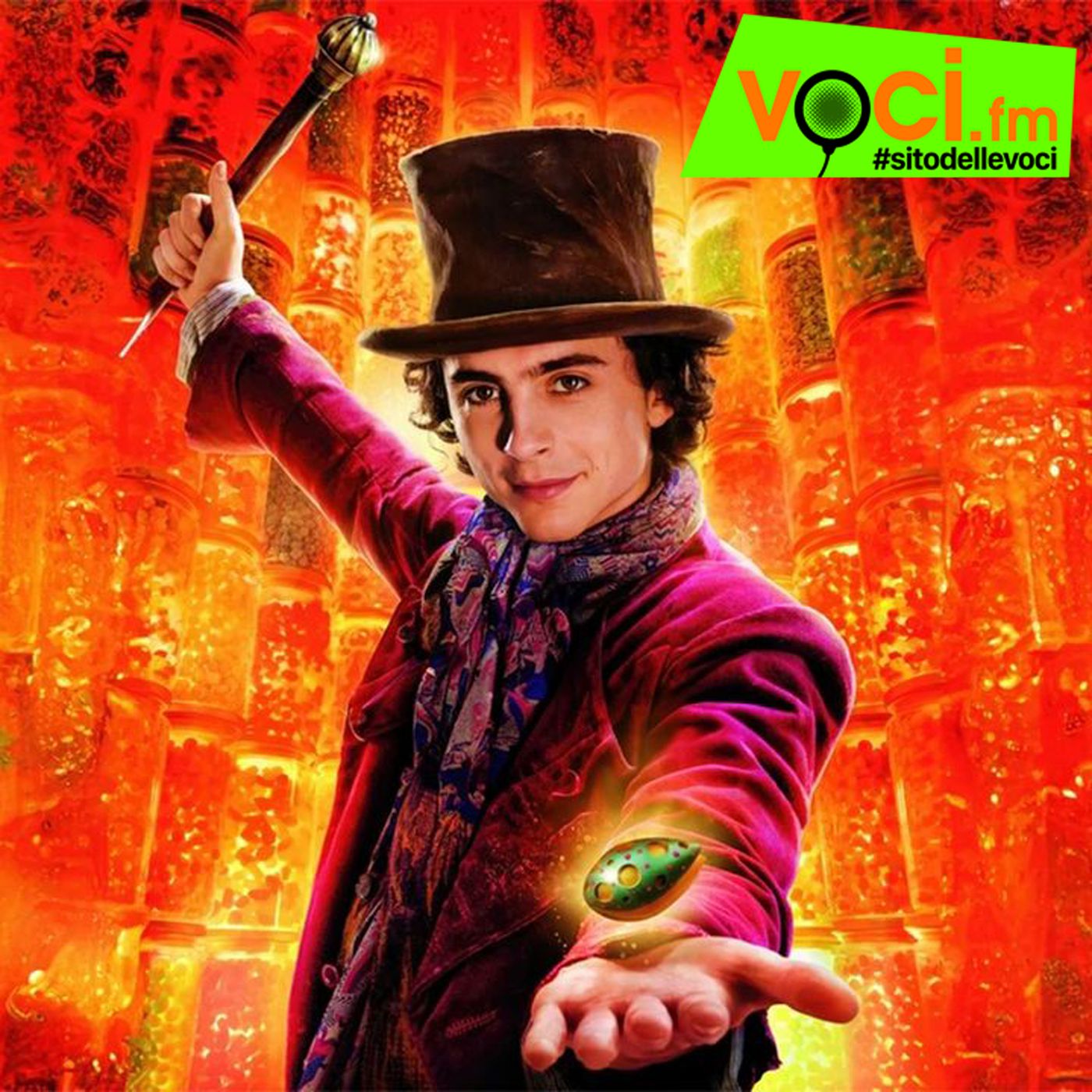 Clicca PLAY e ascolta la news LE VOCI DI "WONKA" CON TIMOTHÉE CHALAMET episode artwork