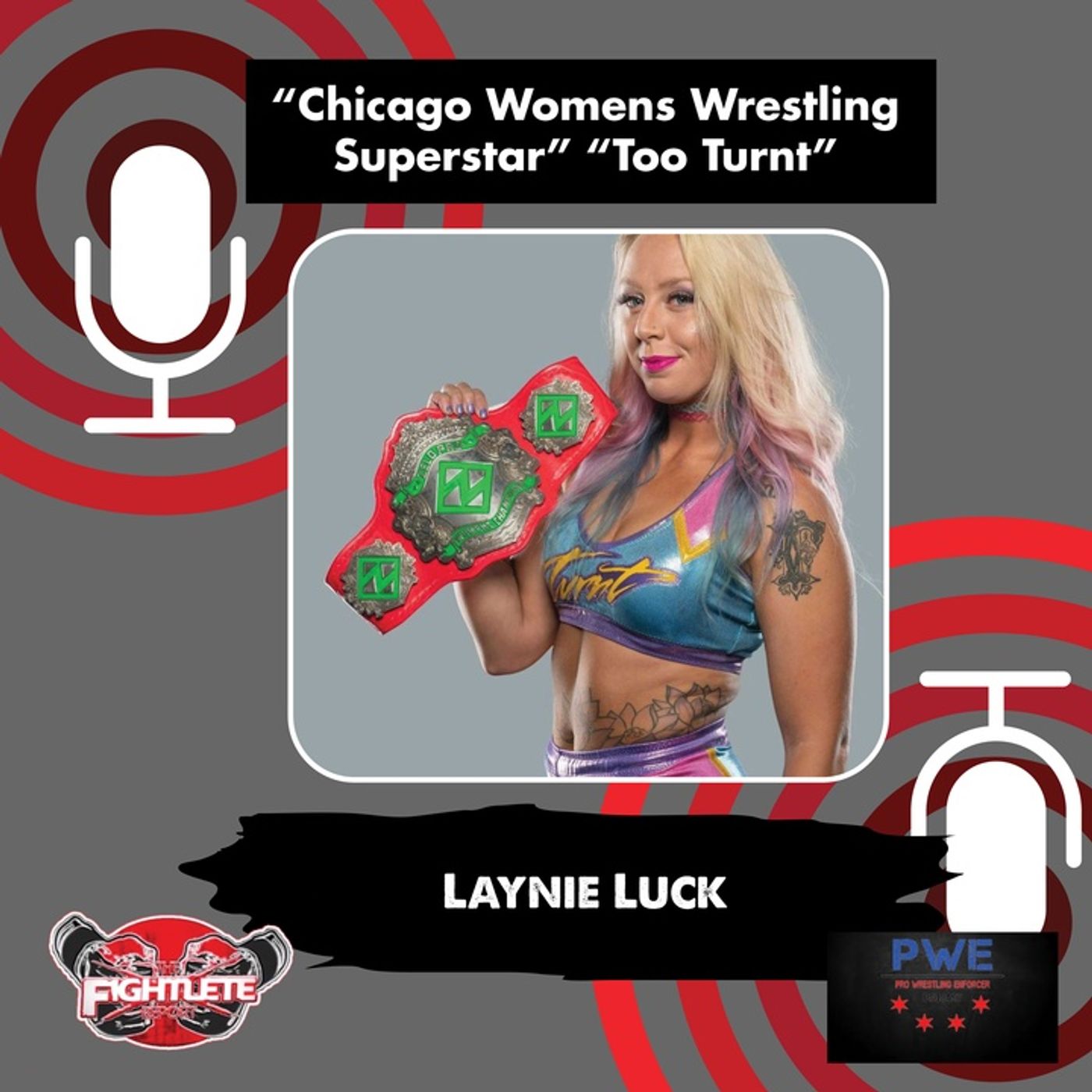 Pro Wrestling Enforcer Podcast