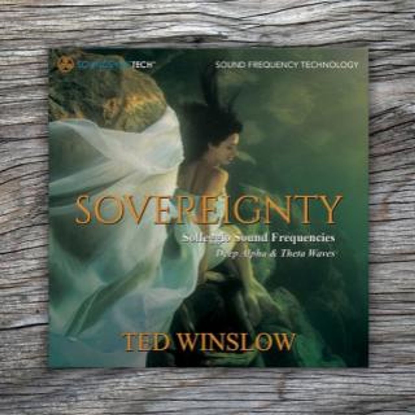 Internationally acclaimed artist Ted Winslow is back episode artwork