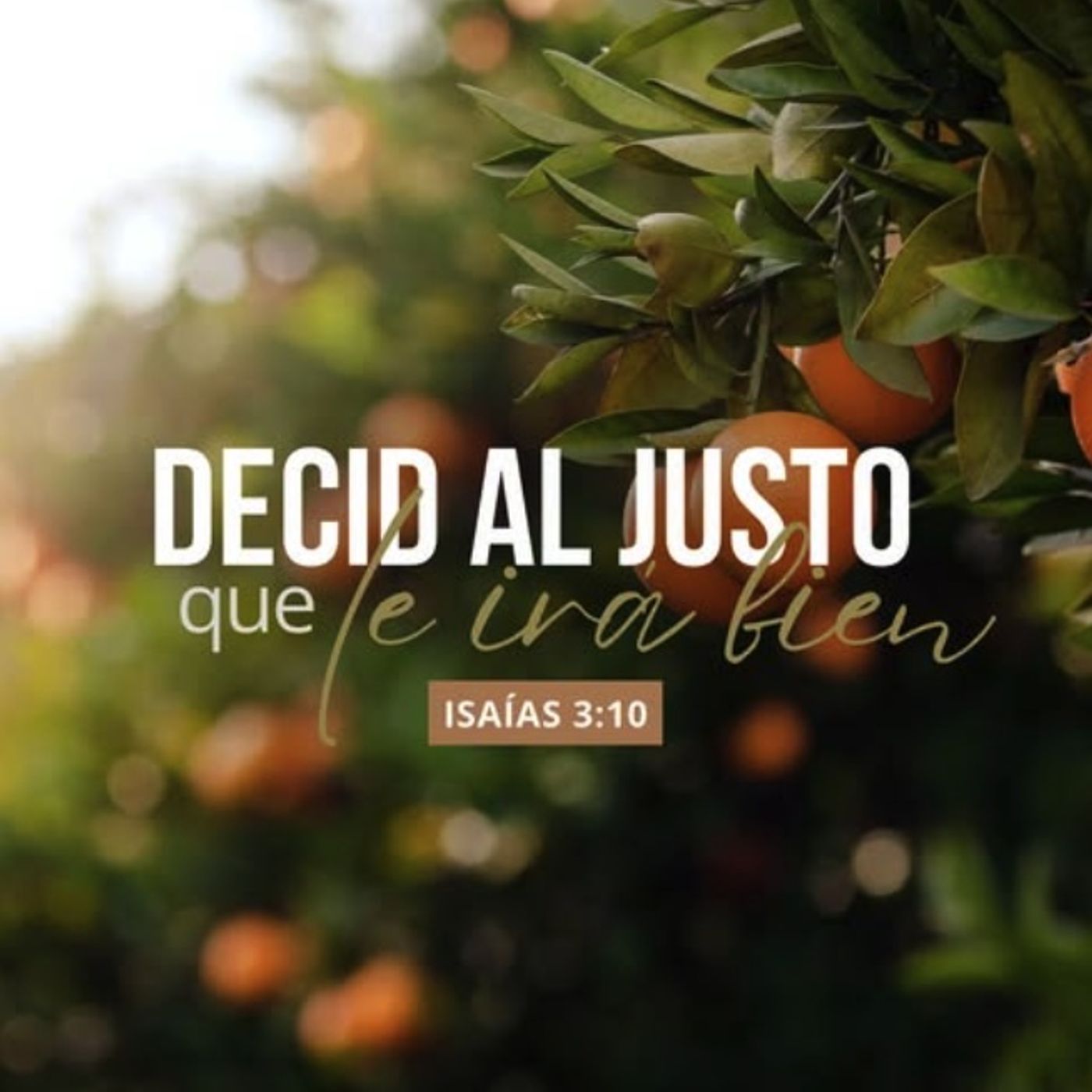 Iglesia Bíblica del Señor Jesucristo