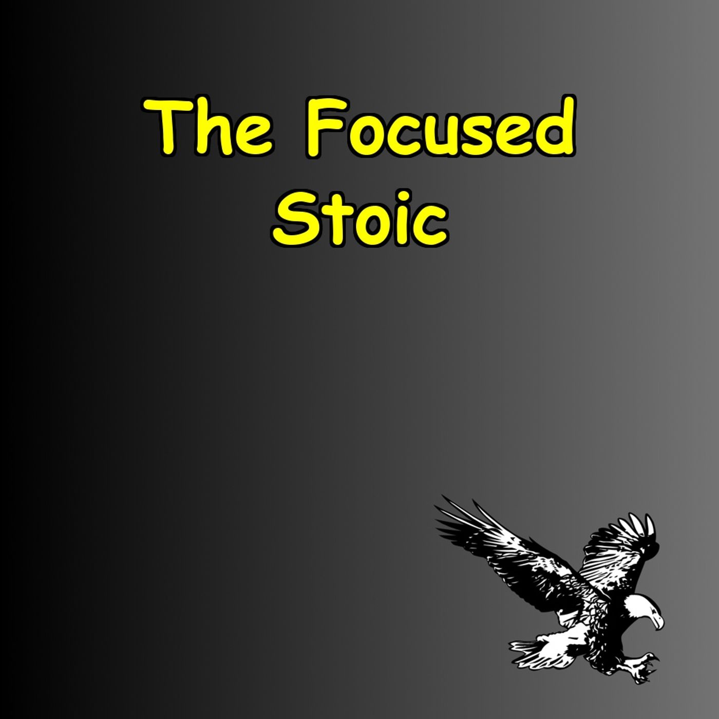 The Focused Stoic | Clear Thinking for Every Challenge
