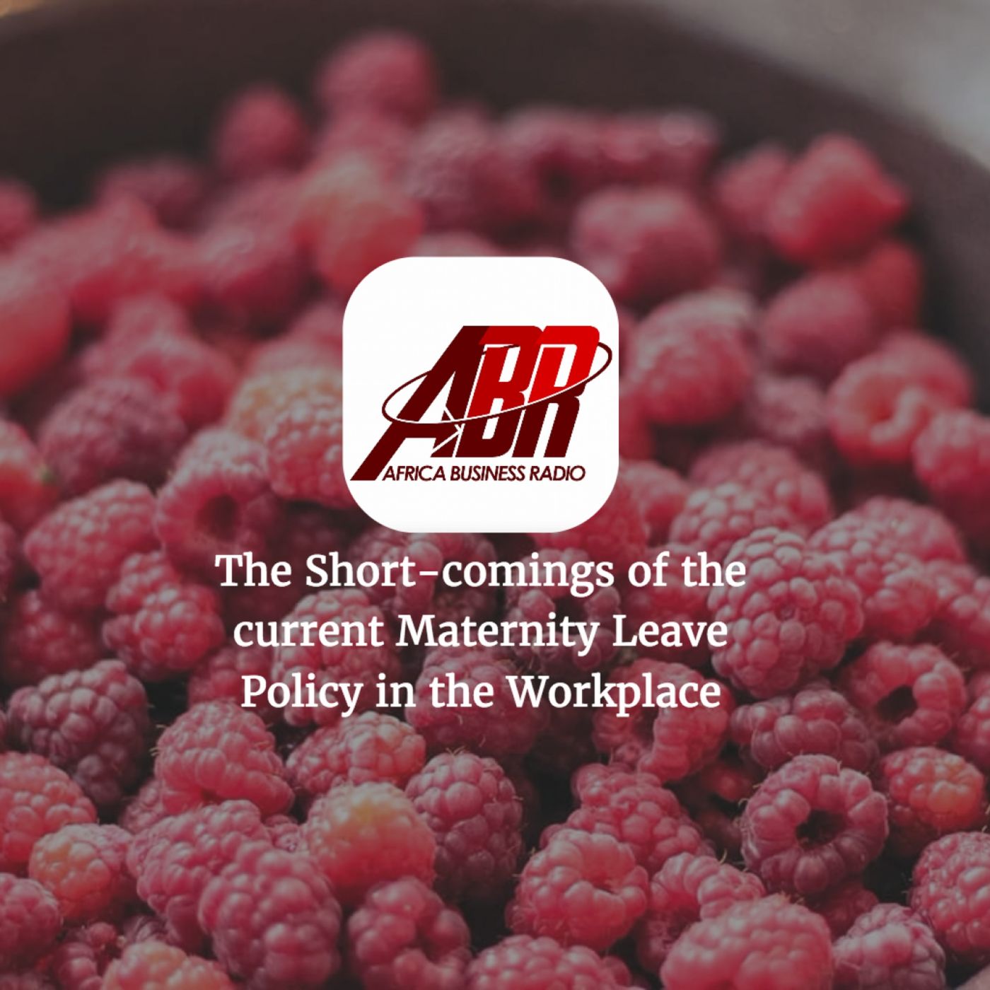The Short-comings of the current Maternity Leave's Policy in the Workplace
