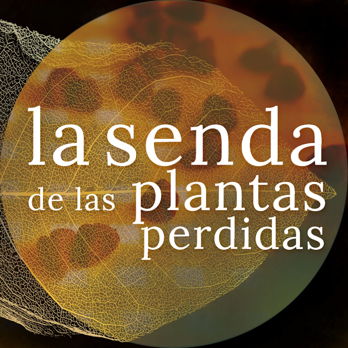 La Senda de las Plantas Perdidas