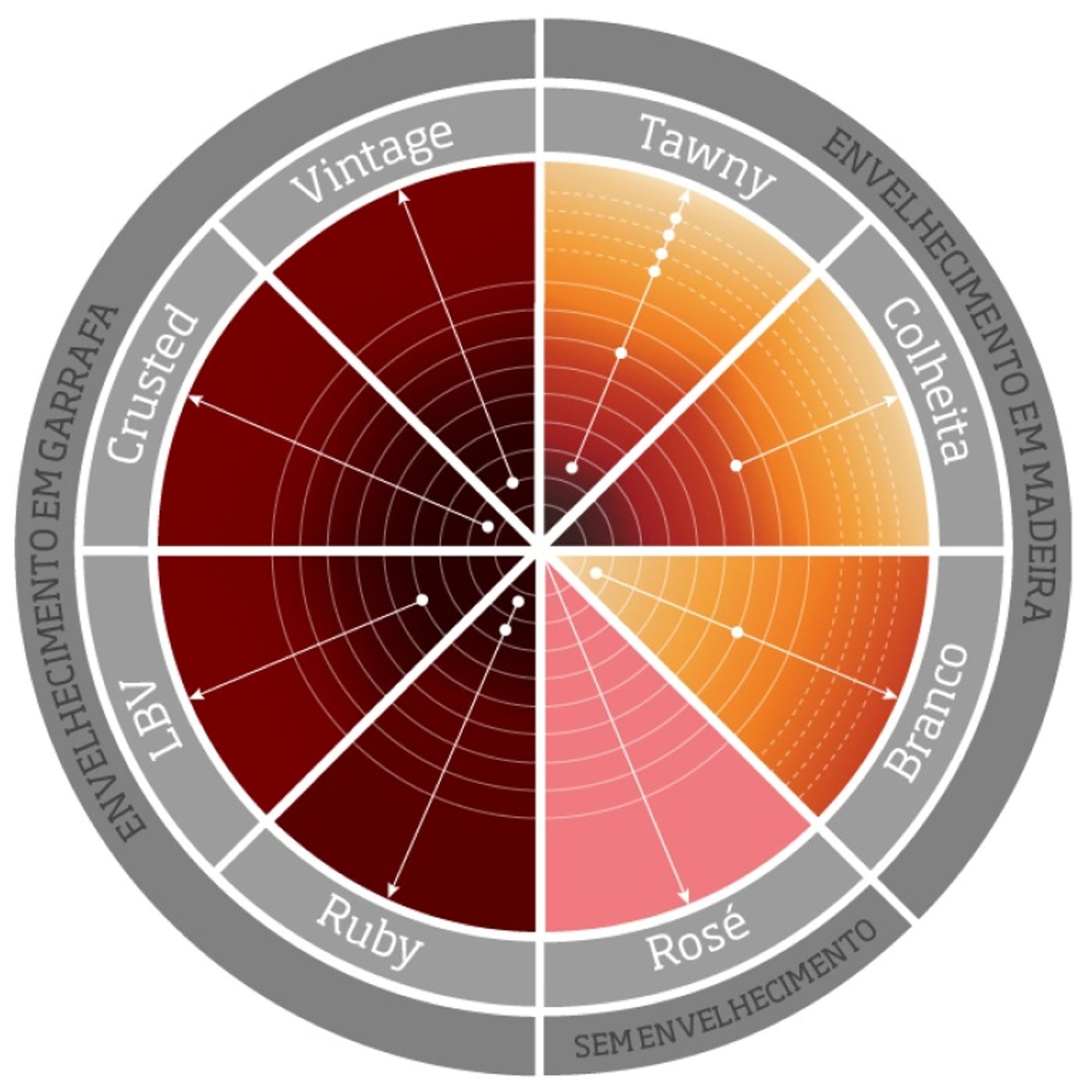 The Wine Club Verdict on Tawny Port: A Smooth Sip That Leaves Eric Wanting More! #port #tawny