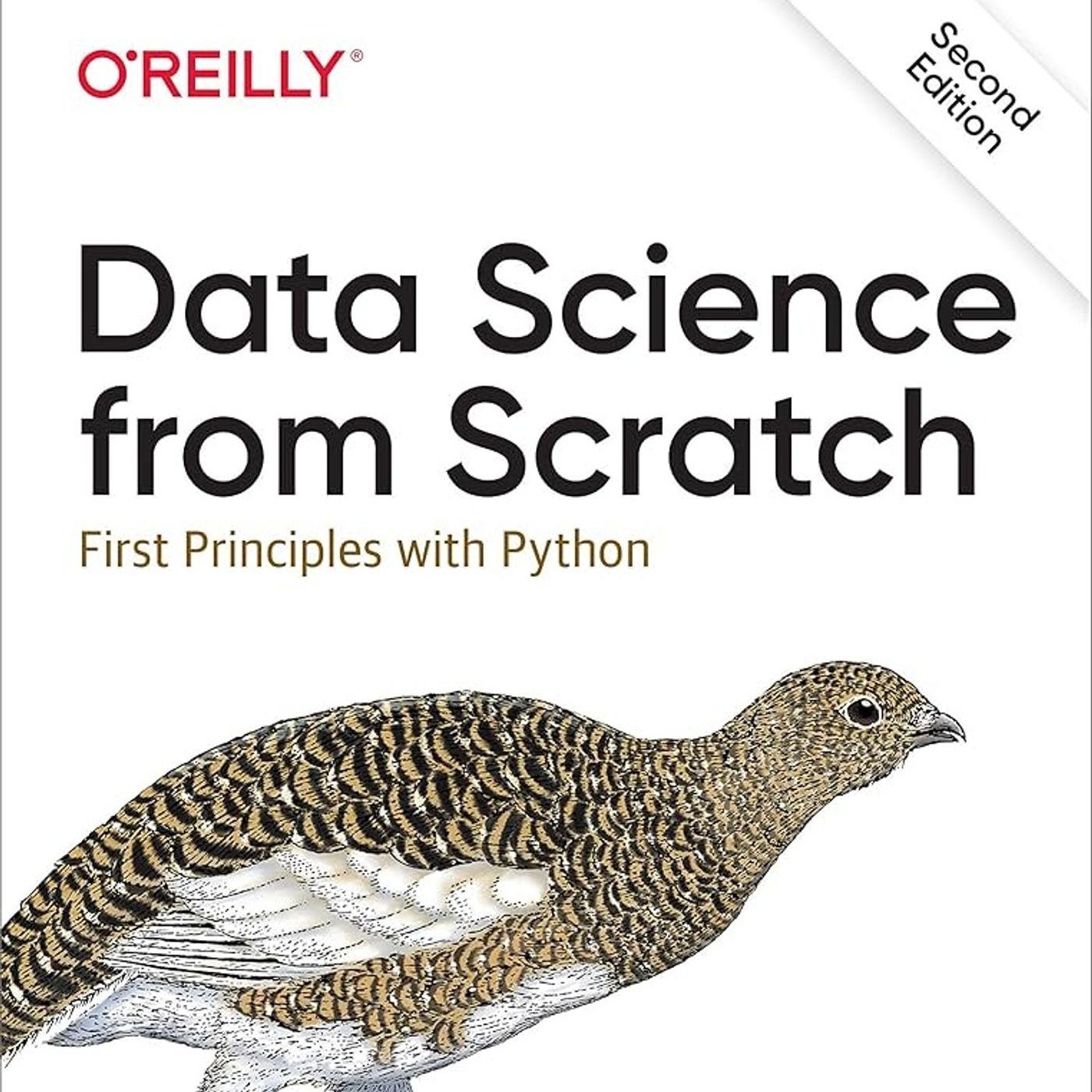 Data Science from Scratch: First Principles with Python