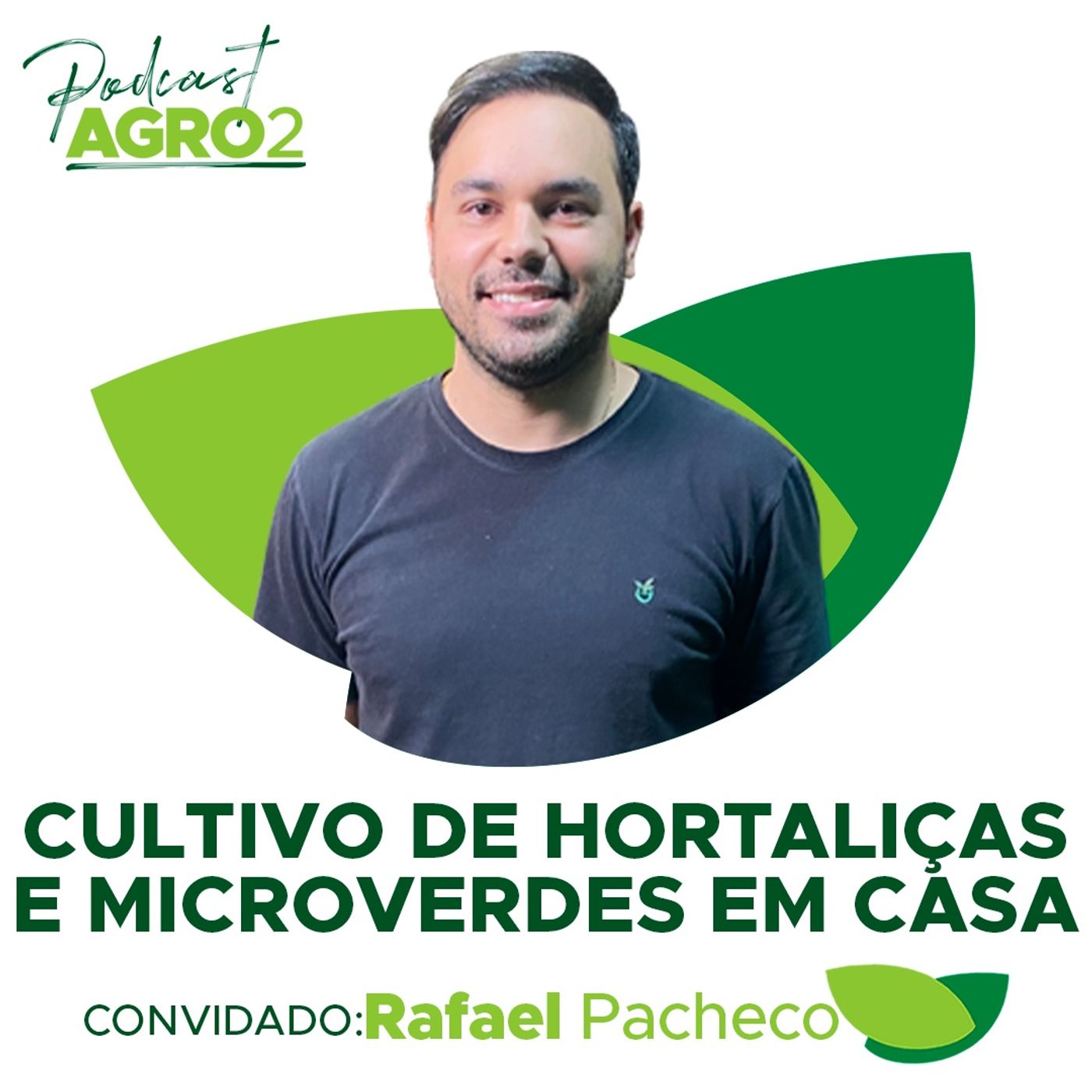 Startup oferta consultoria e produtos para cultivo de hortaliças e microverdes em casa #209 episode artwork