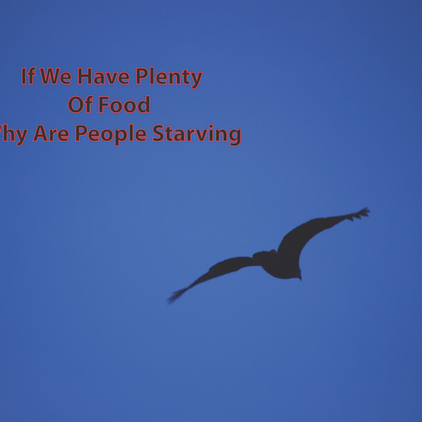 Why Are People Starving When There Is Enough Food Grown To Feed The Human Population