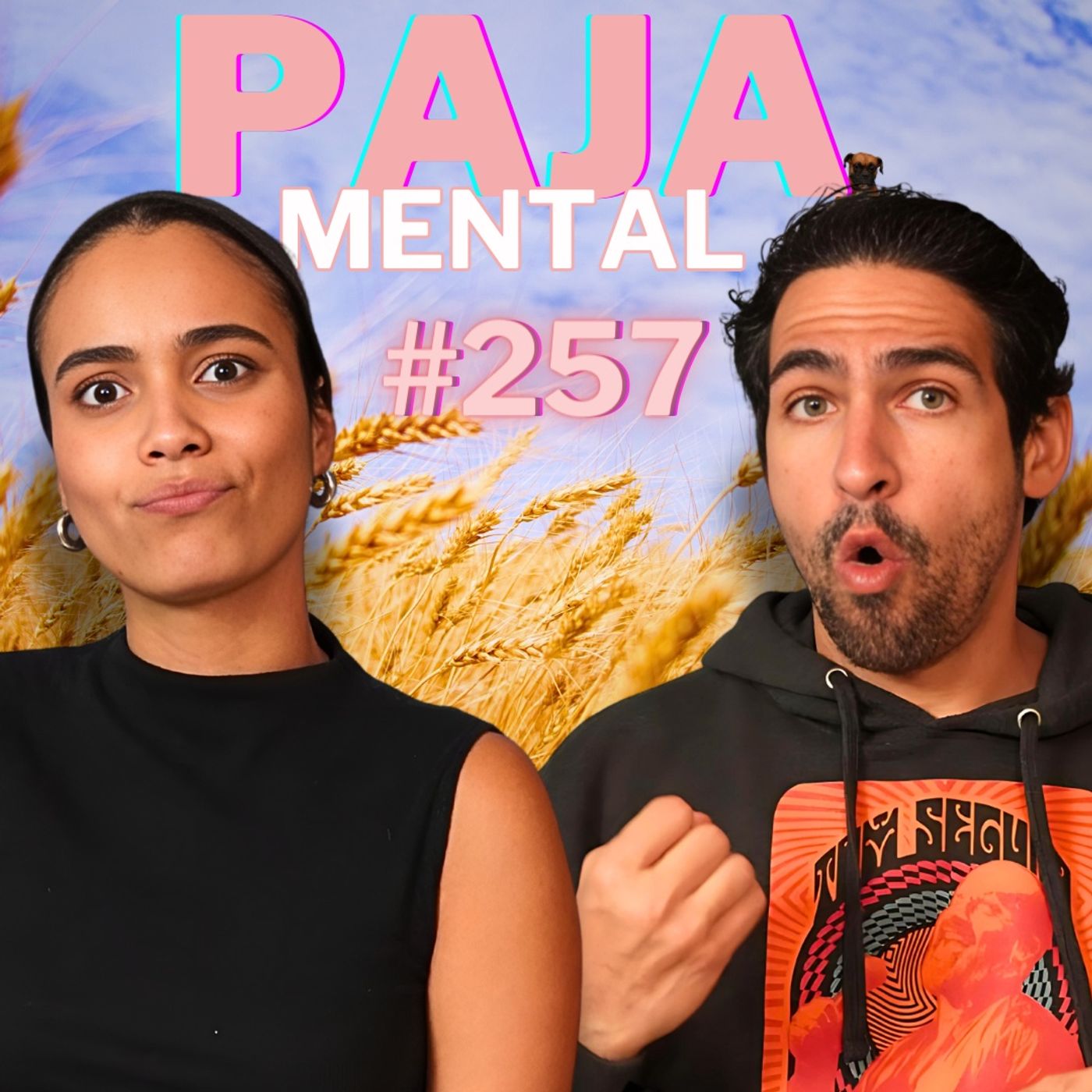 #257 Paja Mental