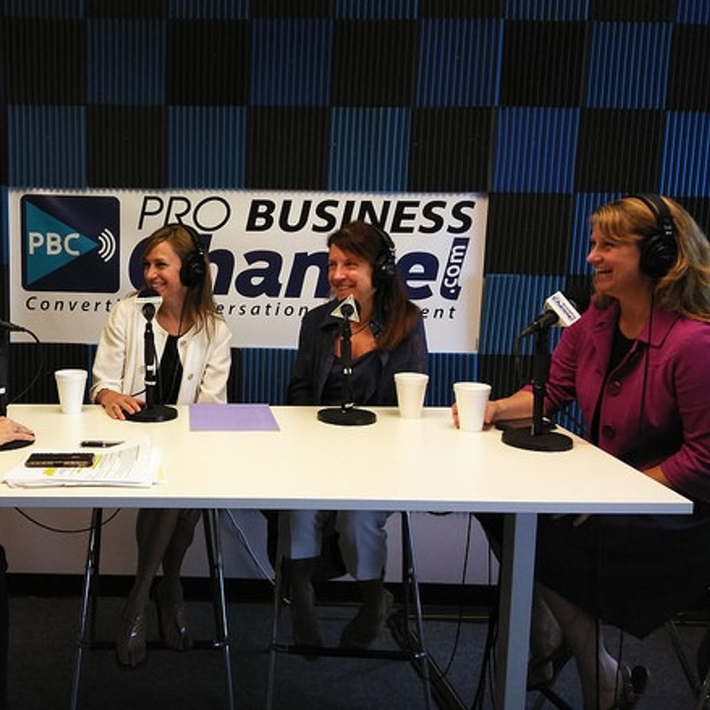 LearningRx, High Achievers and WaterStation Technology on Franchise Business Radio LearningRx, High Achievers and WaterStation Technology on Franchise Business Radio