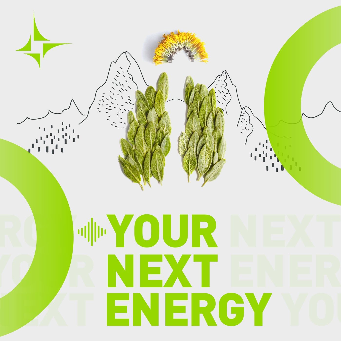 Your Next Energy