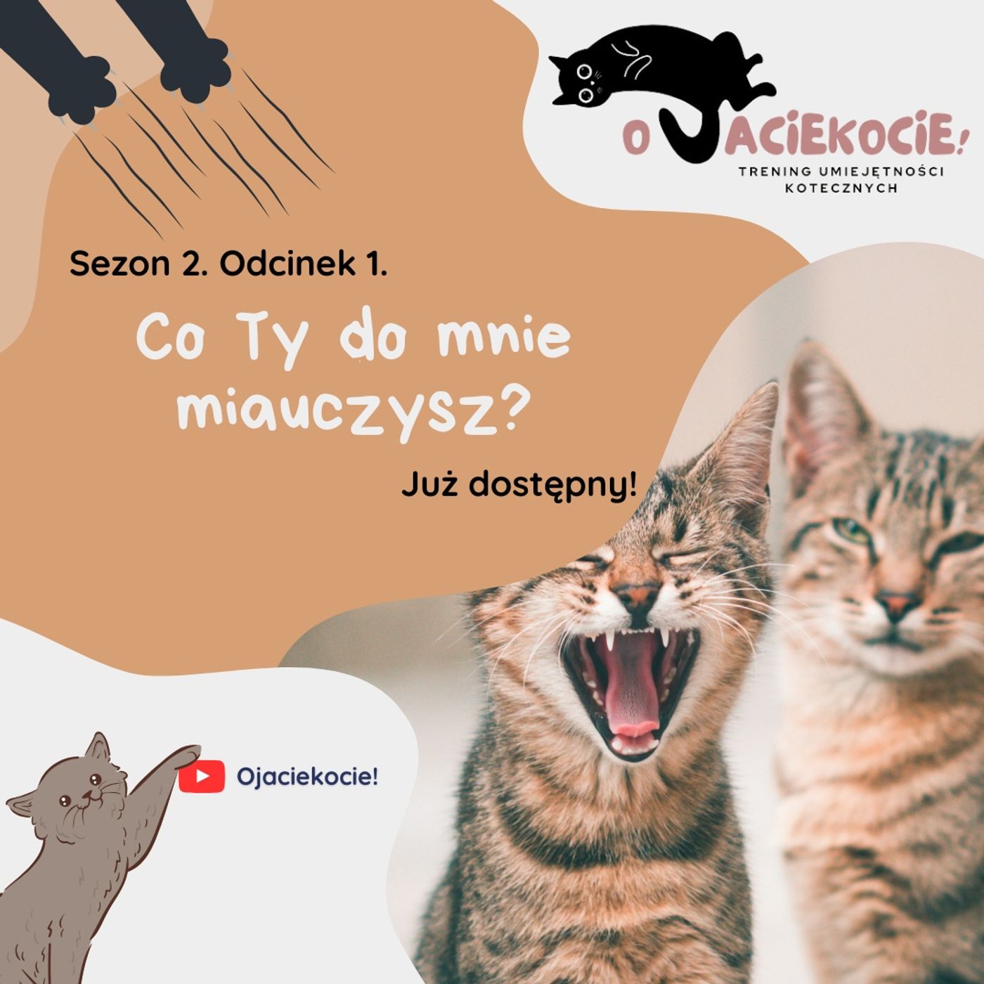 S2E1 - Co Ty do mnie miauczysz? episode artwork