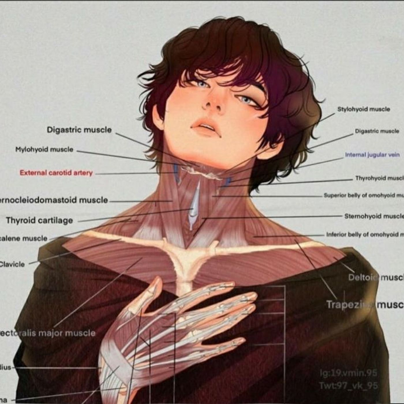 “El cuerpo humano: anatomía y movimiento podcast artwork