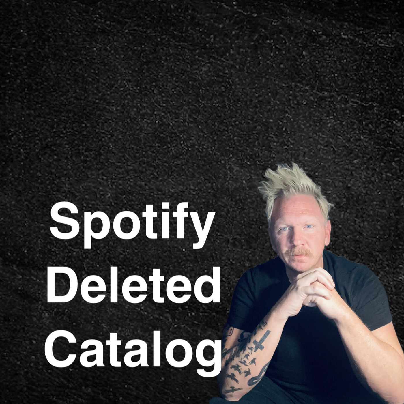 Spotify Deleted Entire Catalog episode artwork
