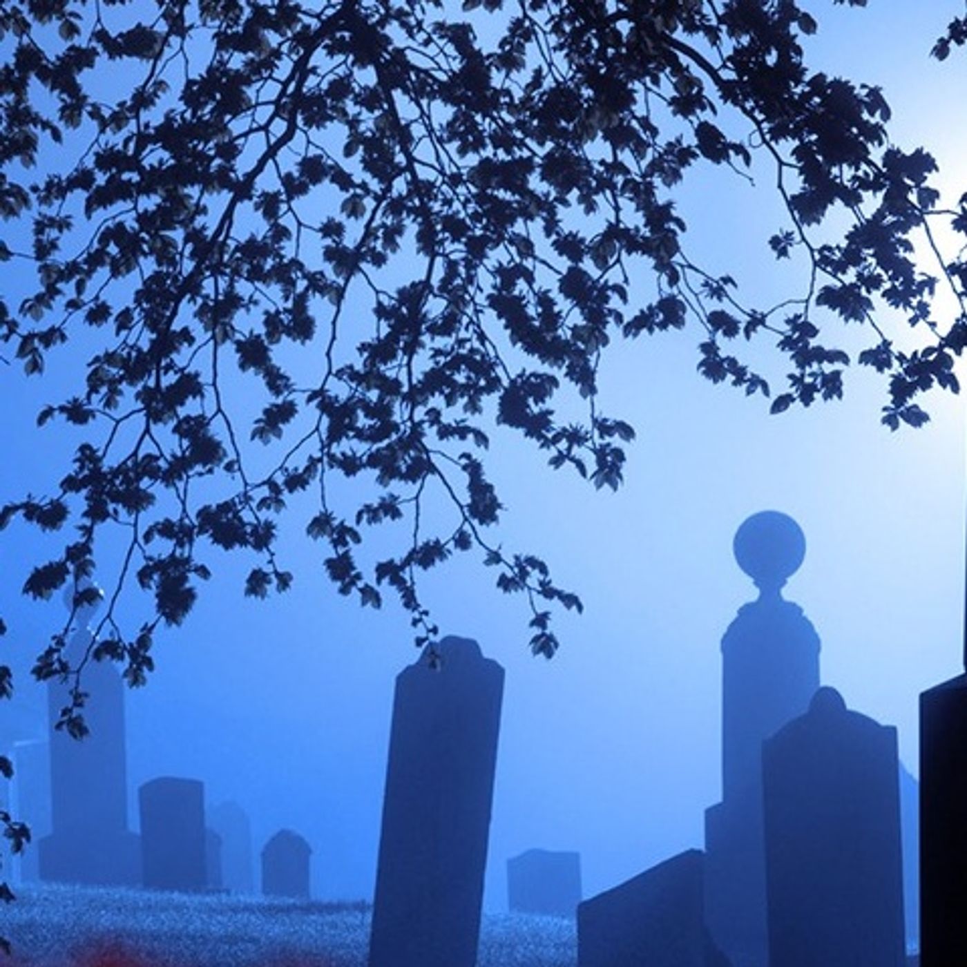 Un Entierro Historias De Terror - REDE