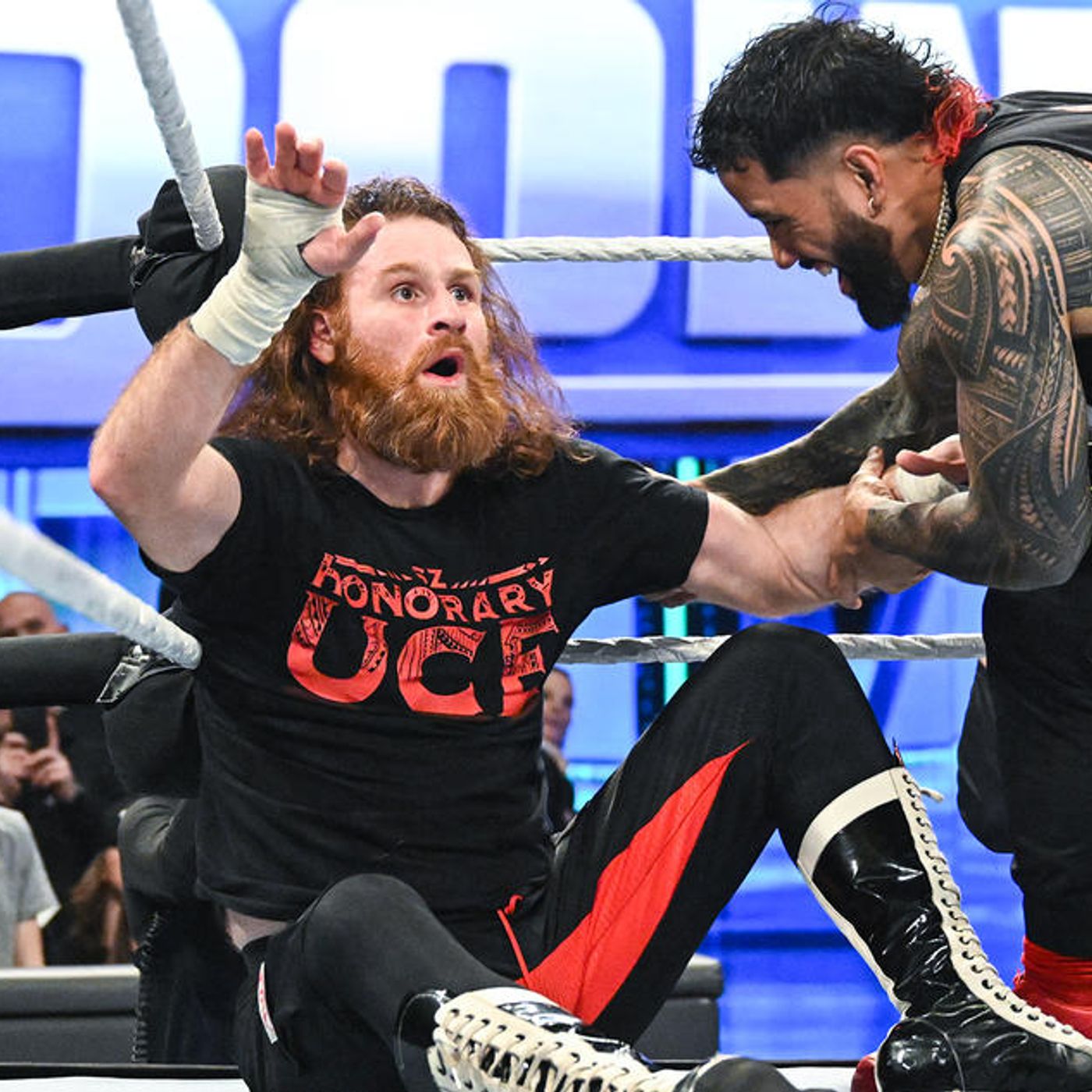 The WWE Podcast