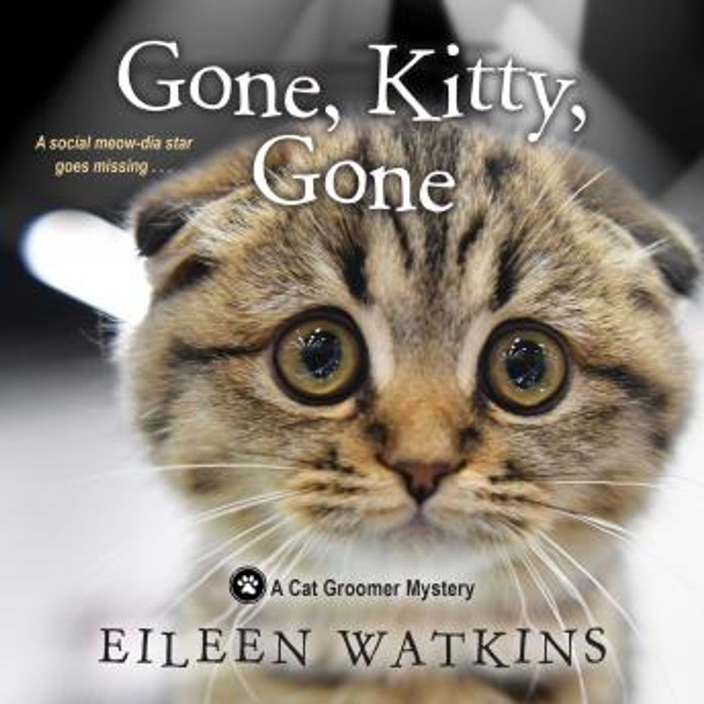 Top Full Audiobooks in Mystery, Thriller & Horror, Police & Detective