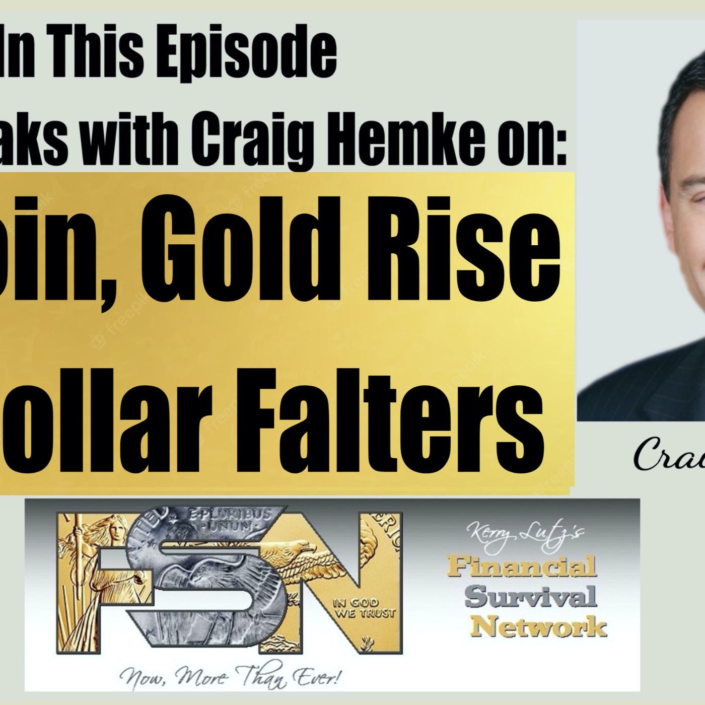 Financial Survival Network
