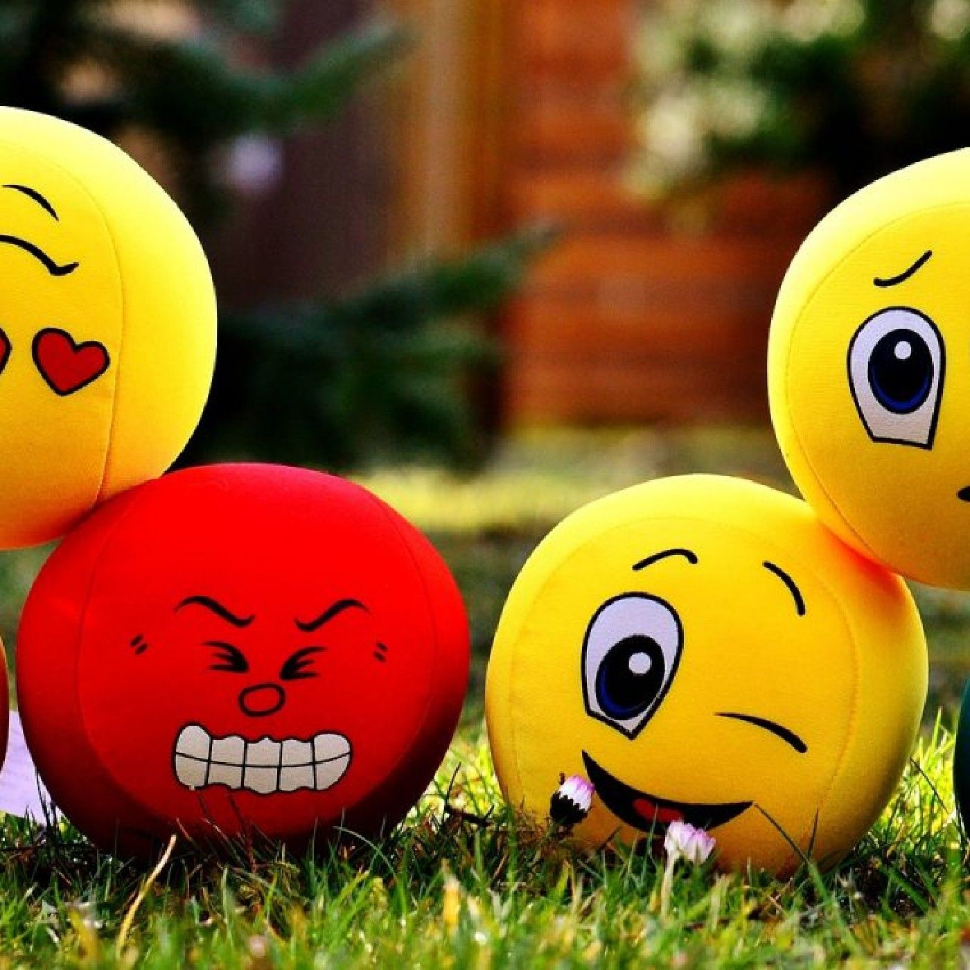 Actividad N°6 - Educar las Emociones