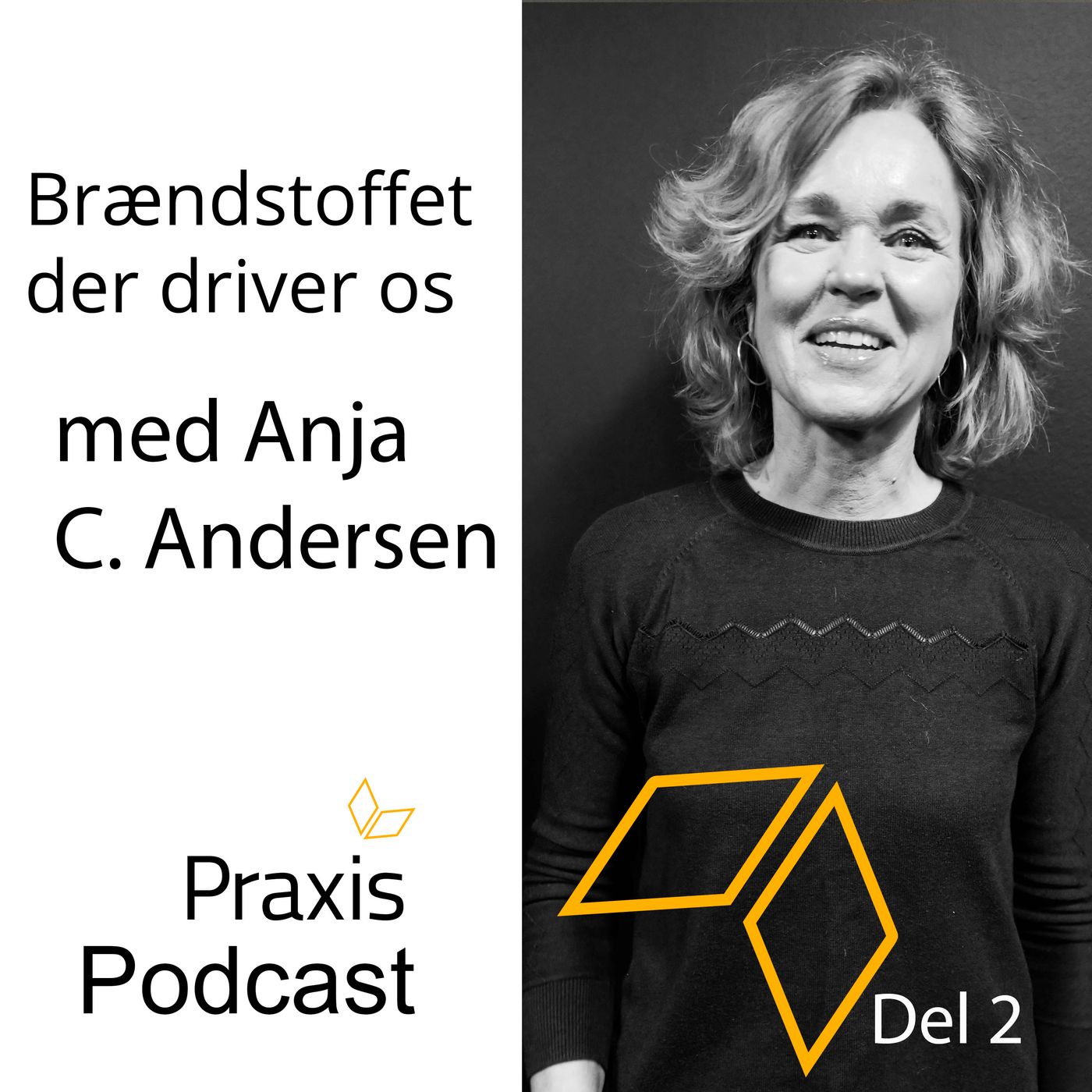 Praxis Podcast