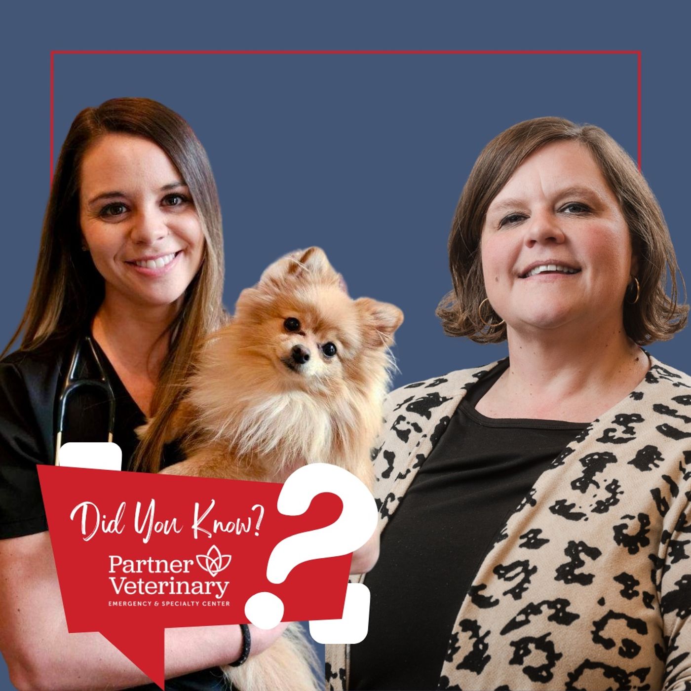 How Partner is Helping the Most Vulnerable Pets episode artwork