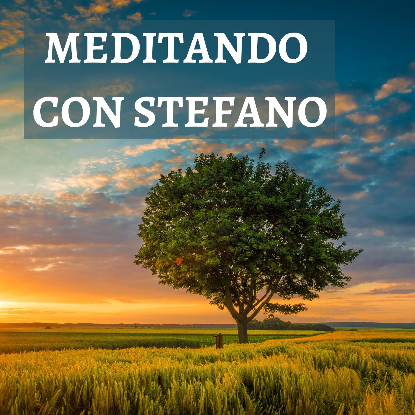 Meditando con Stefano
