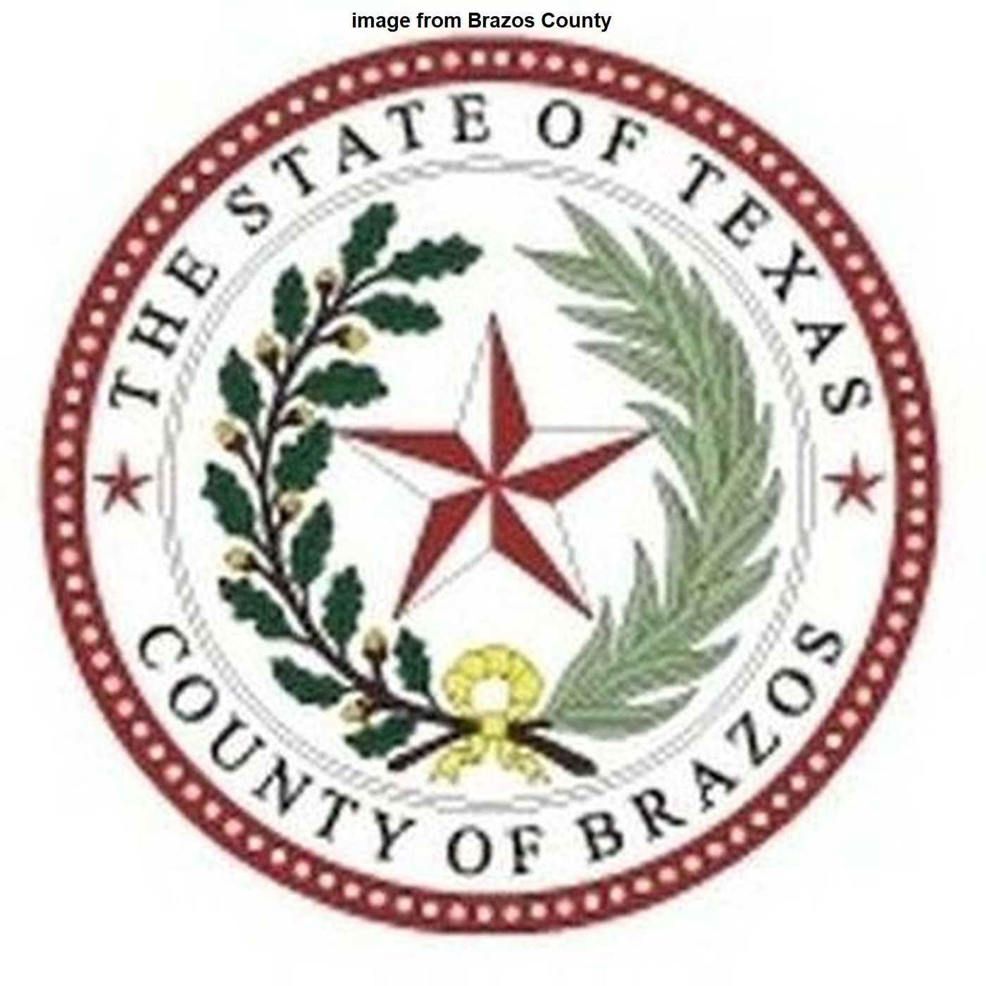 Brazos County Commissioner Bentley Nettles on The Infomaniacs April 2, 2026 episode artwork