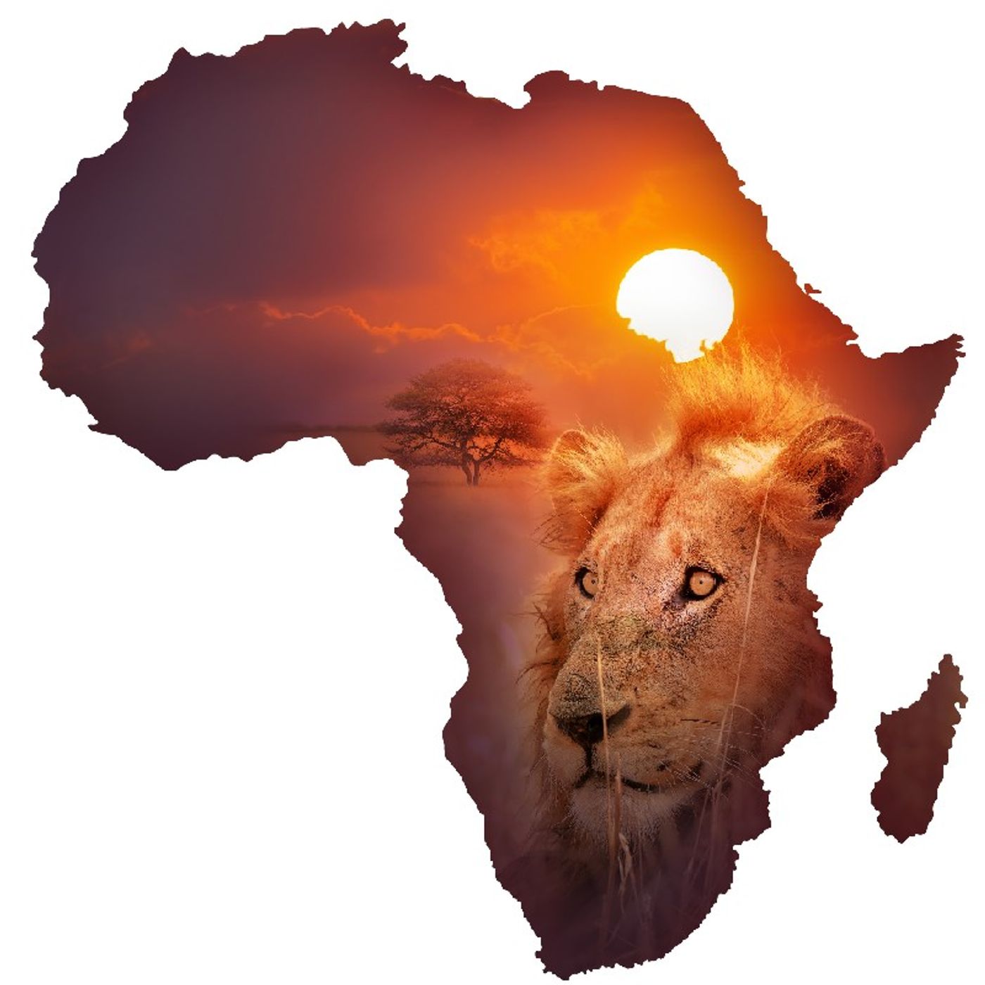 Ancient African Christianity
