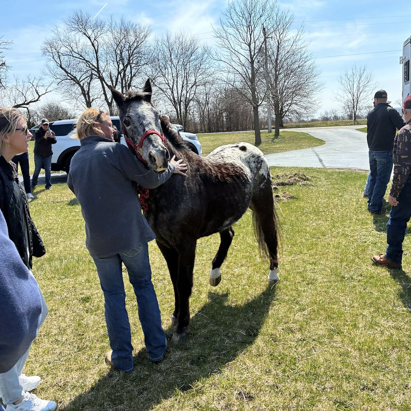 Horse saved from floodwaters by Marengo firefighters returns home episode artwork