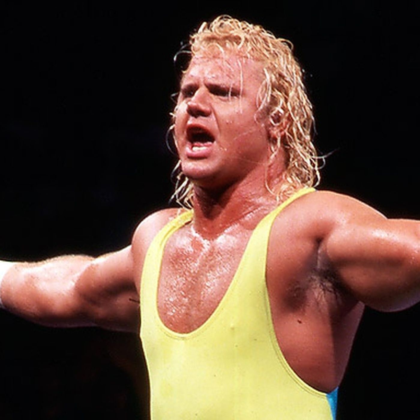 Mr. Perfect: The Curt Hennig Legacy