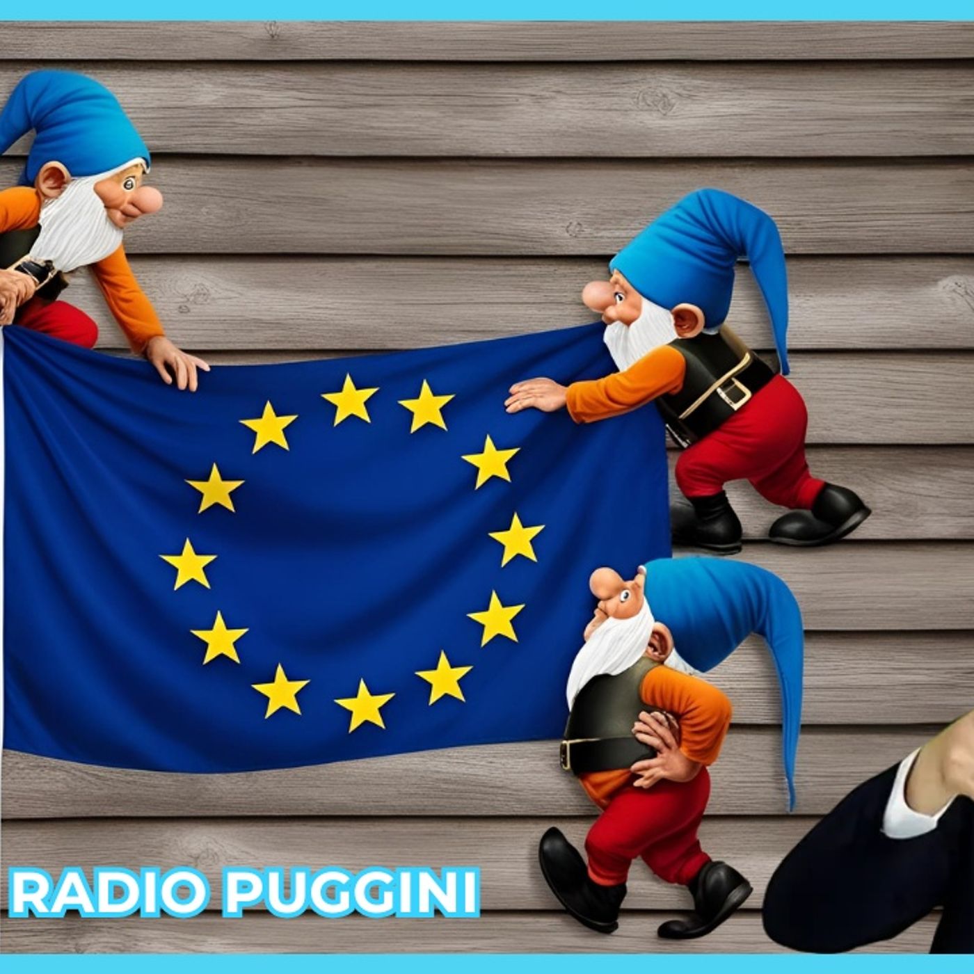 Radio Puggini