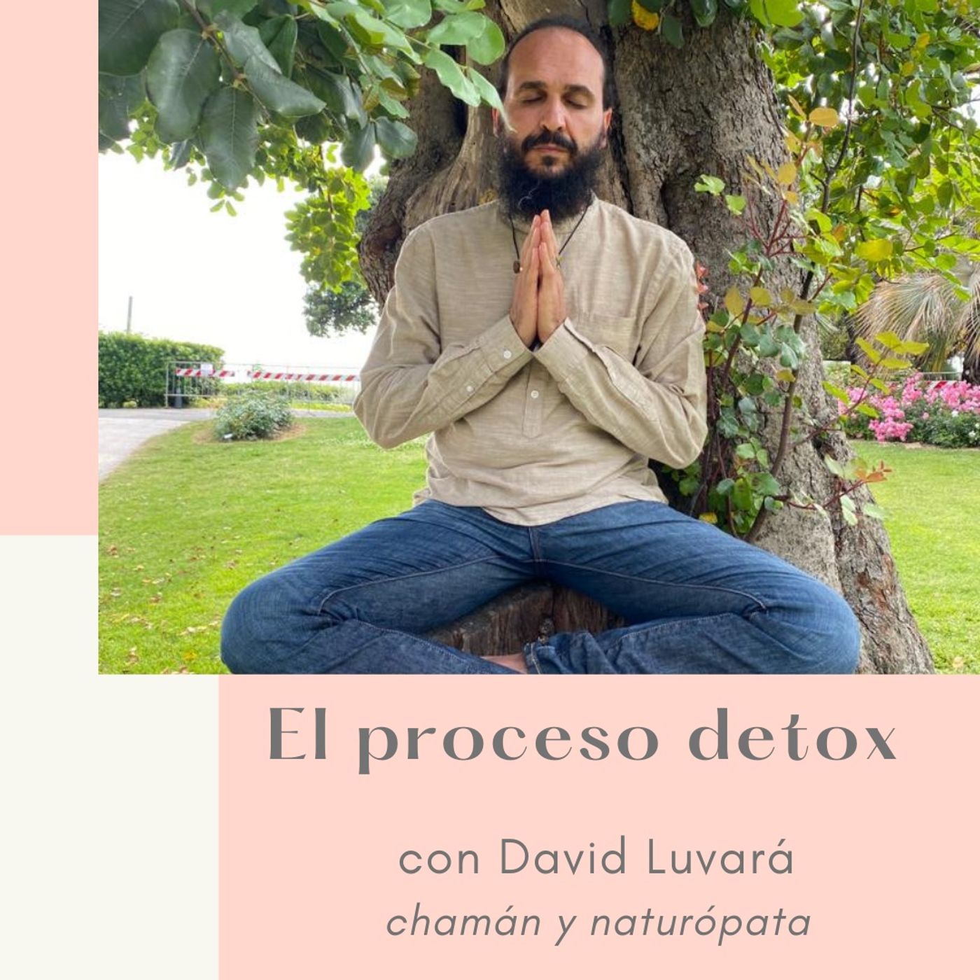 El diván de Sara - psicología