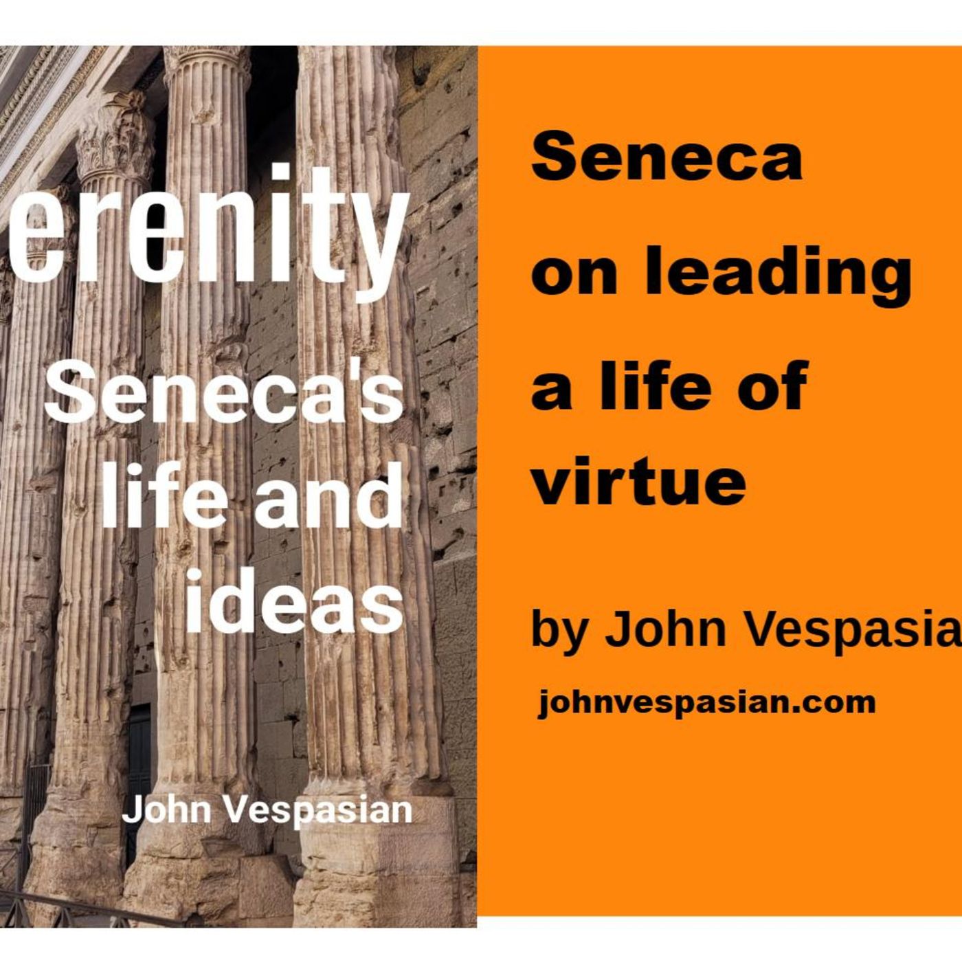 Seneca on leading a life of virtue episode artwork