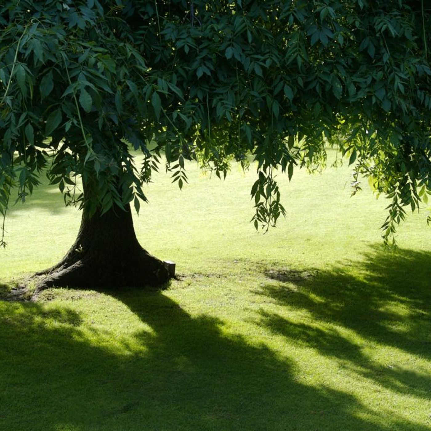 Historias de Miedo Mayo 24 de 2022 MI PADRE ME CUIDA