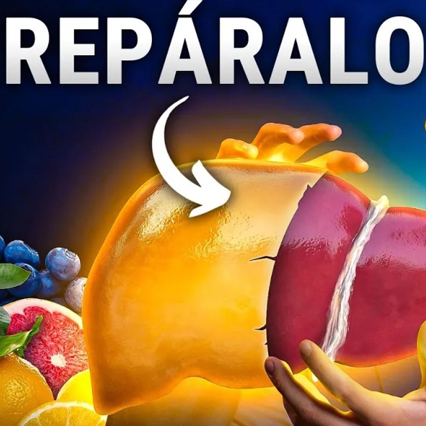 ¿EXCESIVOS EXCESOS? ¡Cómo RESTAURAR tu HÍGADO! (Alimentos y Suplementos)