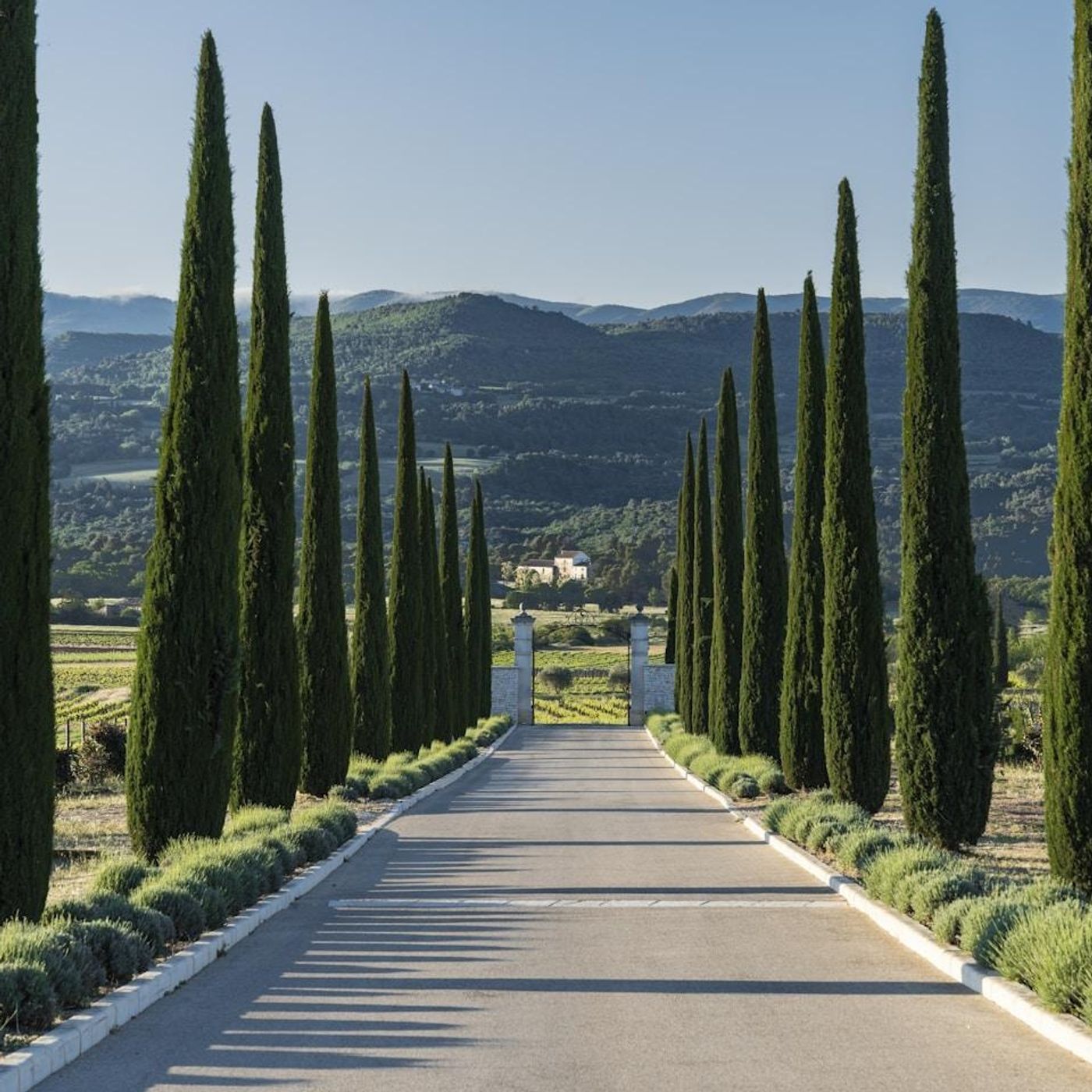 The Becoming You Show with Leah Roling: From Potential to Proof