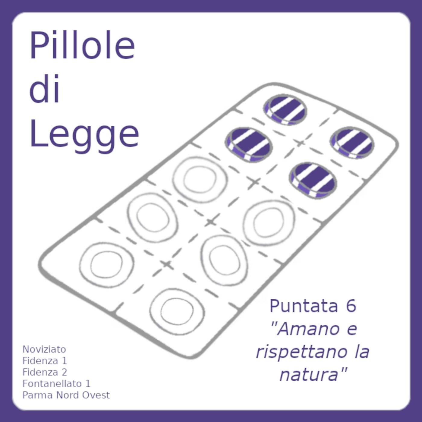 Pillole di Legge