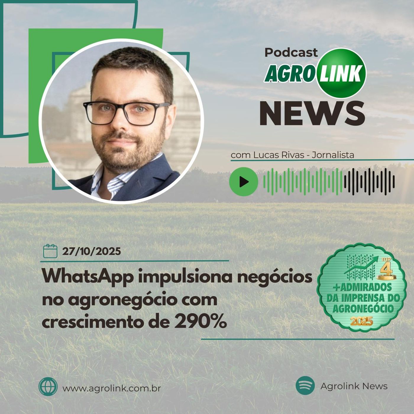 Produção de camomila paranaense movimenta R$ 15 milhões Produção de camomila paranaense movimenta R$ 15 milhões