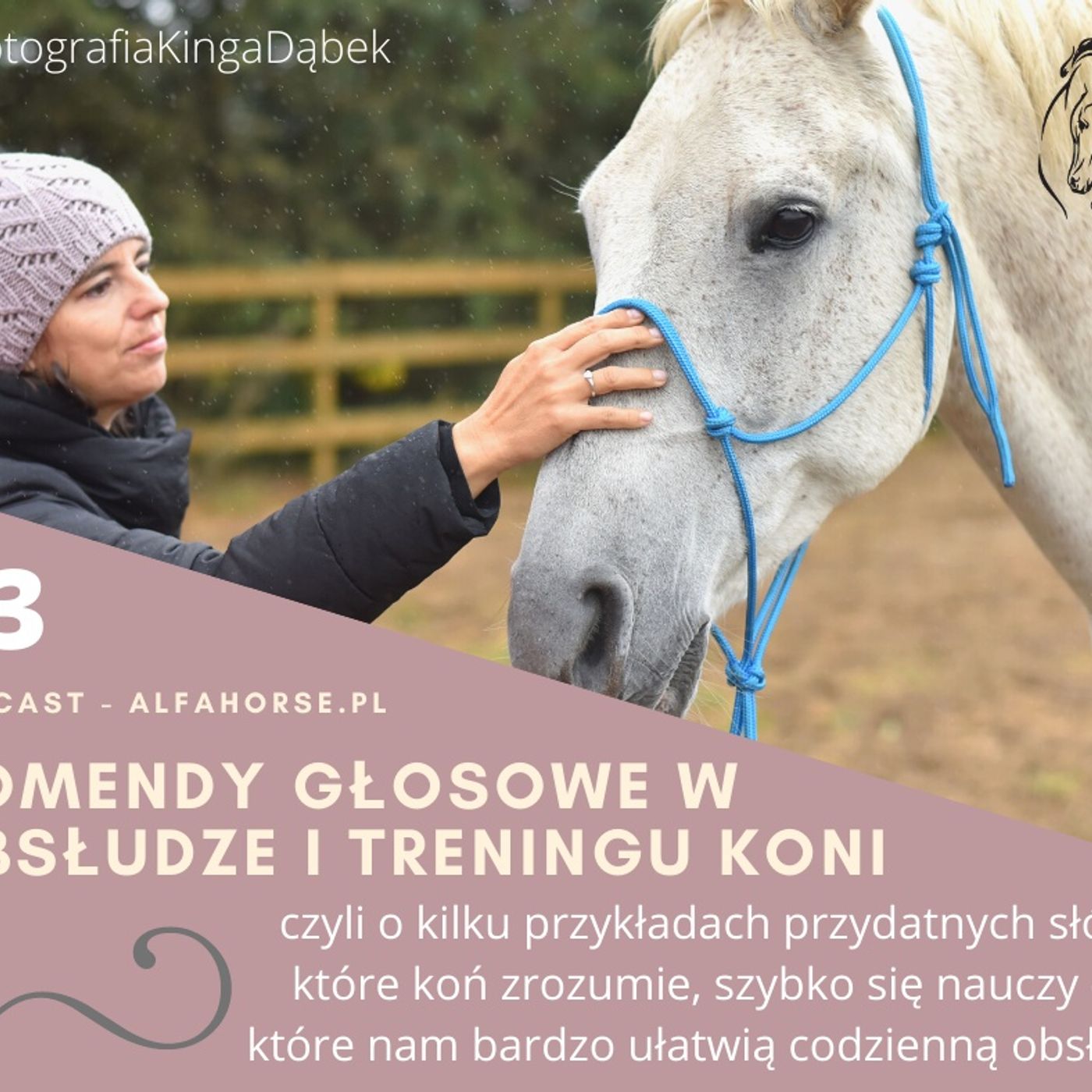 Podcast 23: Konkretne komendy głosowe w treningu koni episode artwork