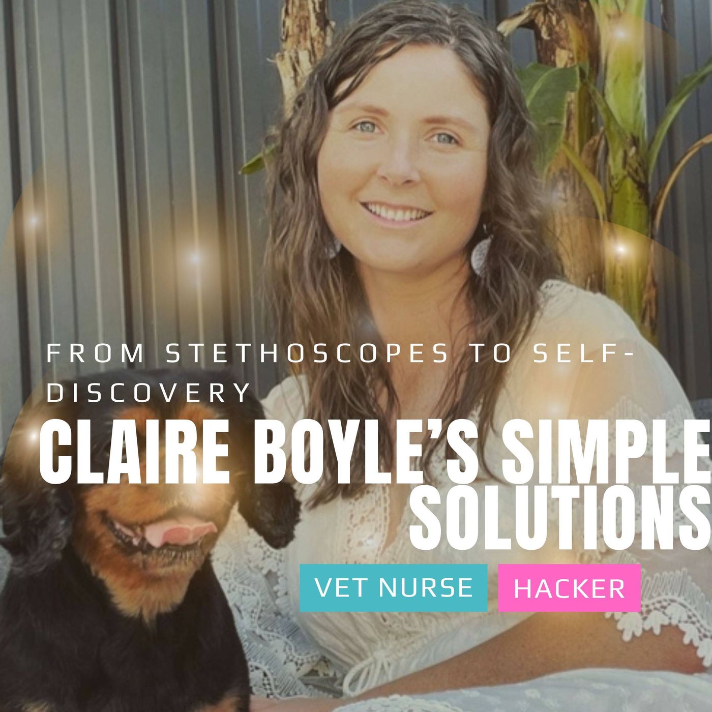 The Vet Nurse Hacker Podcast