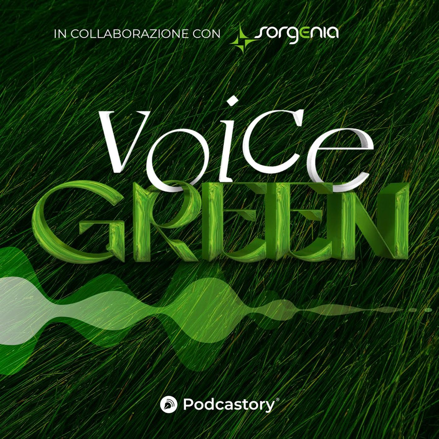 VoiceGreen