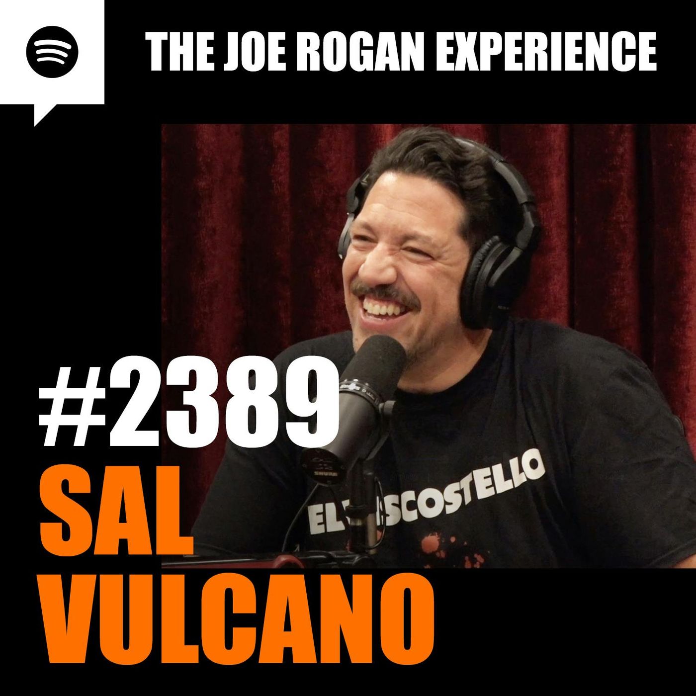 #2389 - Sal Vulcano