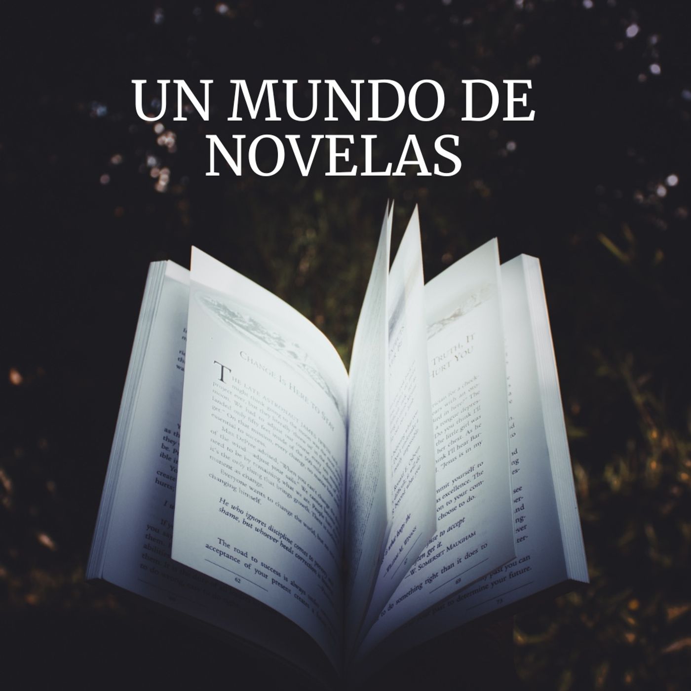 Un mundo de novelas