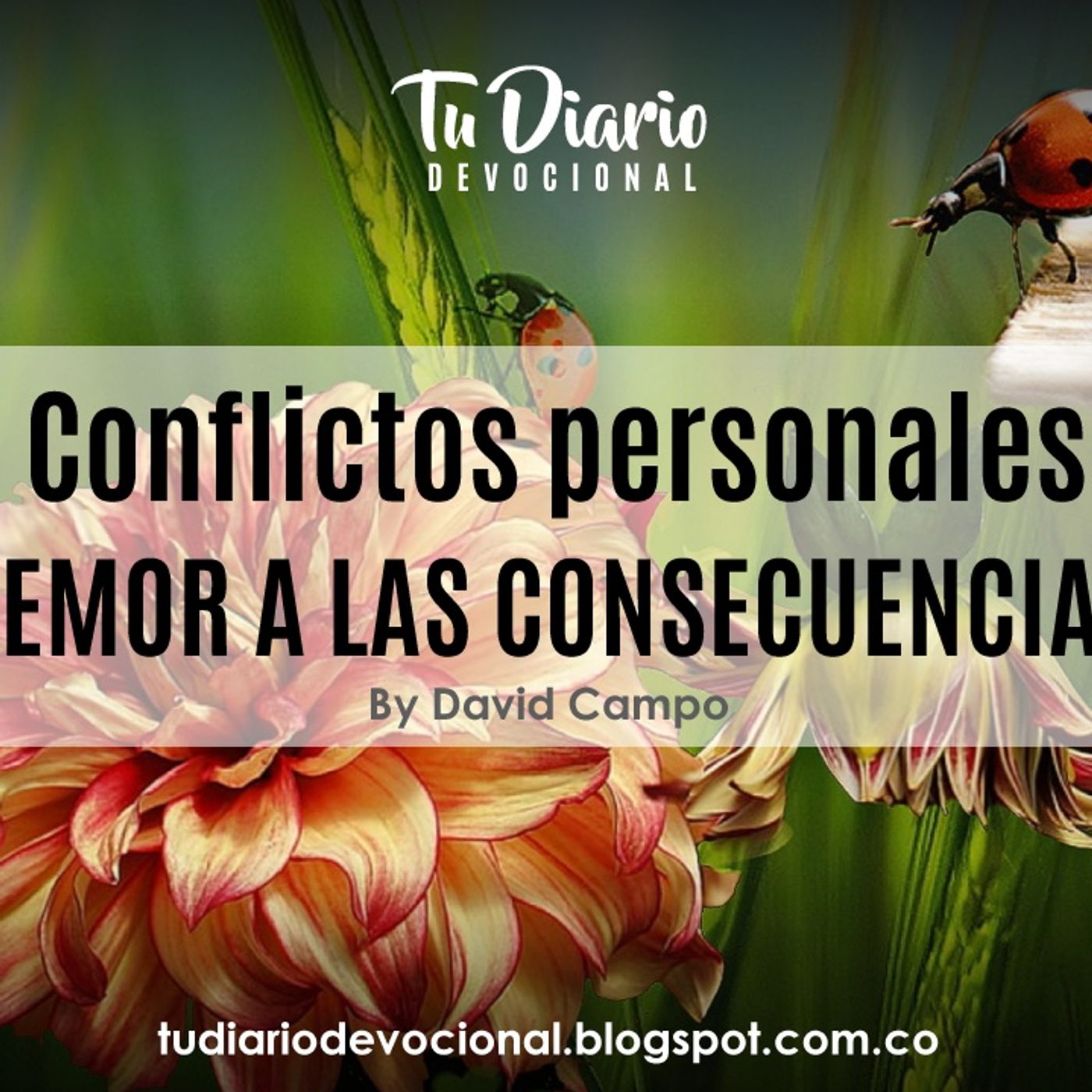 Tu Diario Devocional
