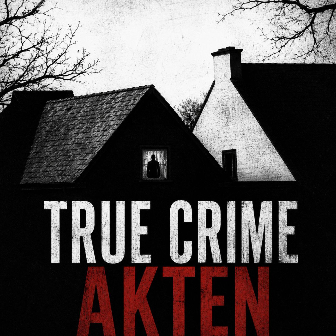 True Crime Akten cover
