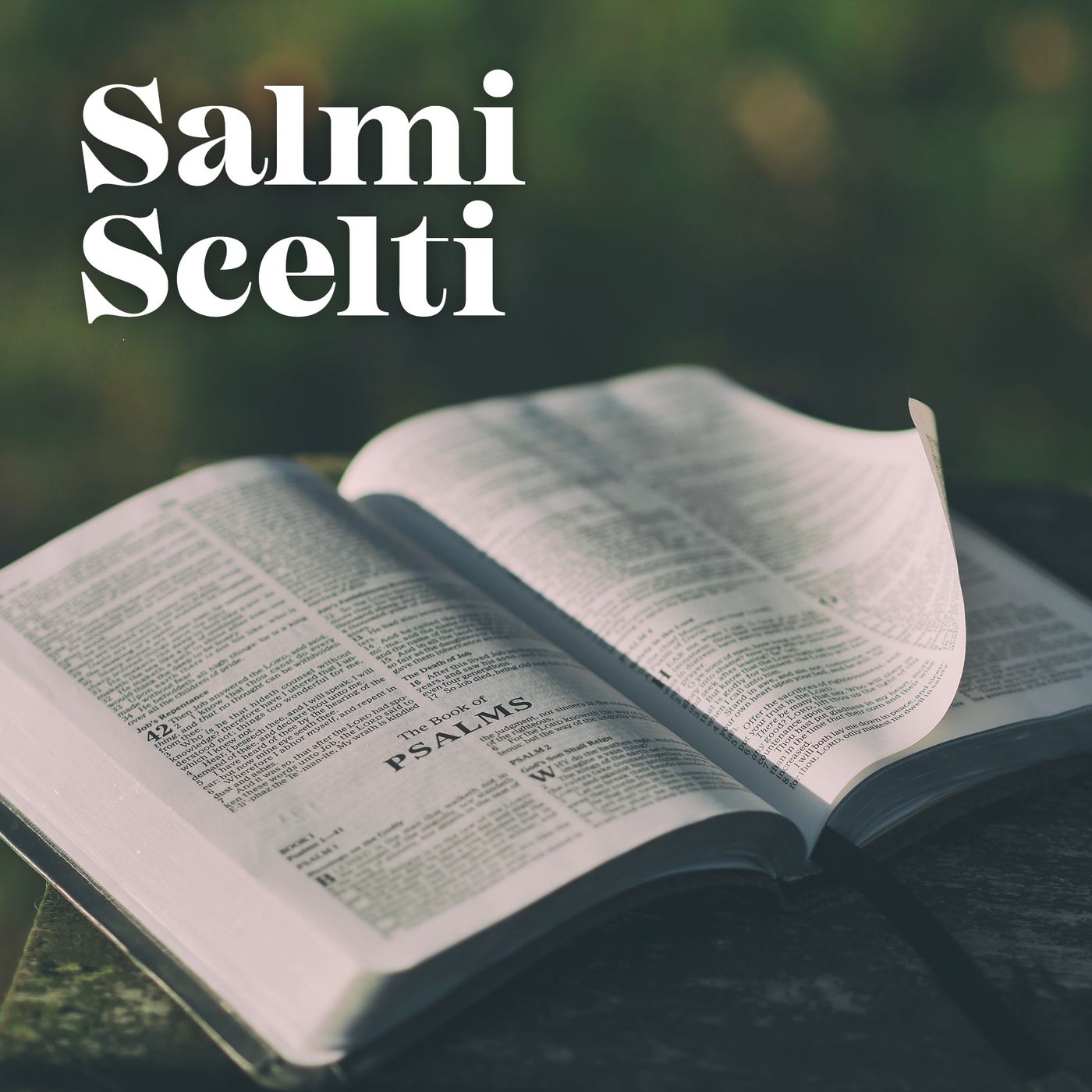 Salmi Scelti