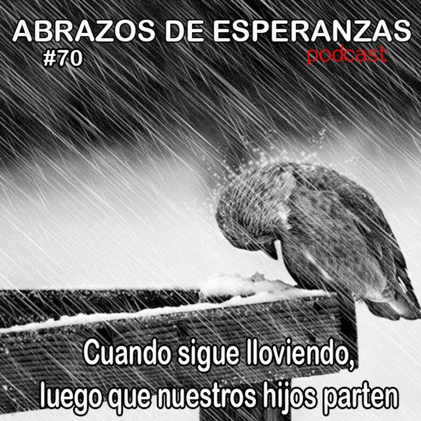 Abrazos de Esperanzas