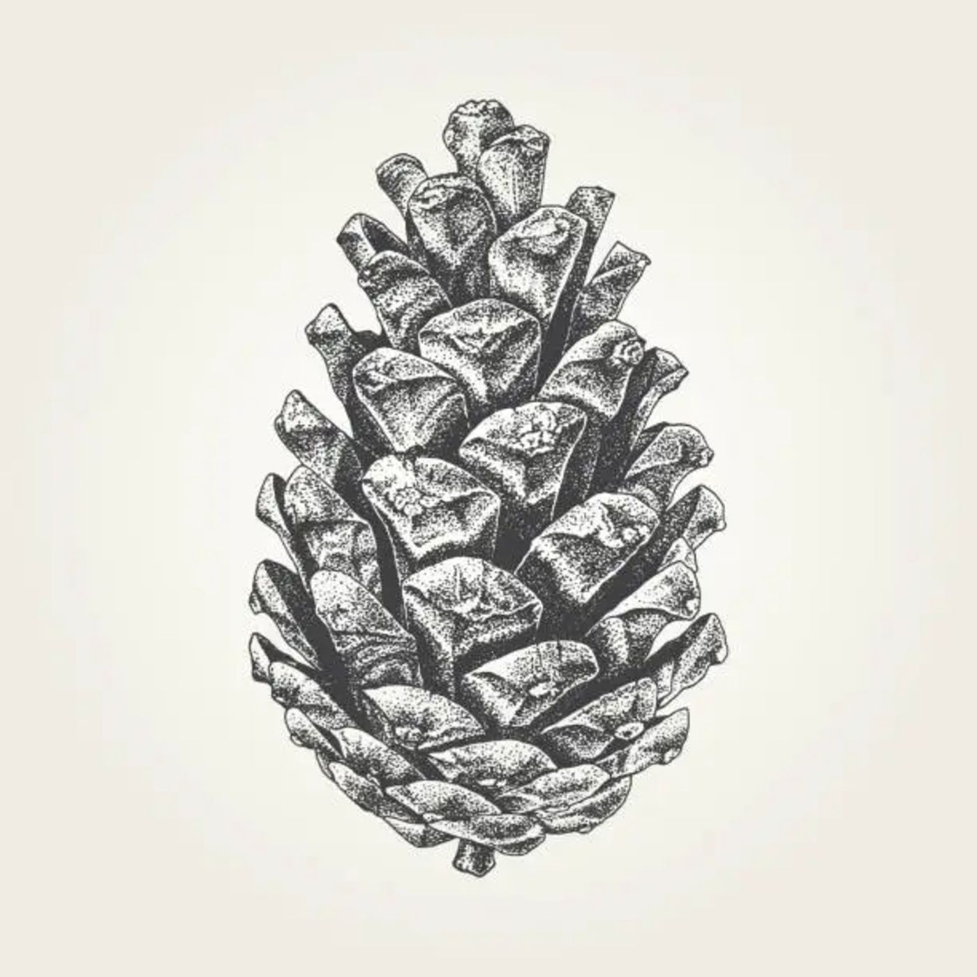 Wild Things podcast artwork